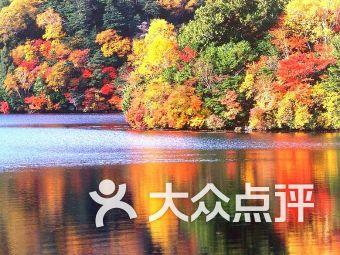 森迪穿越魔法学院